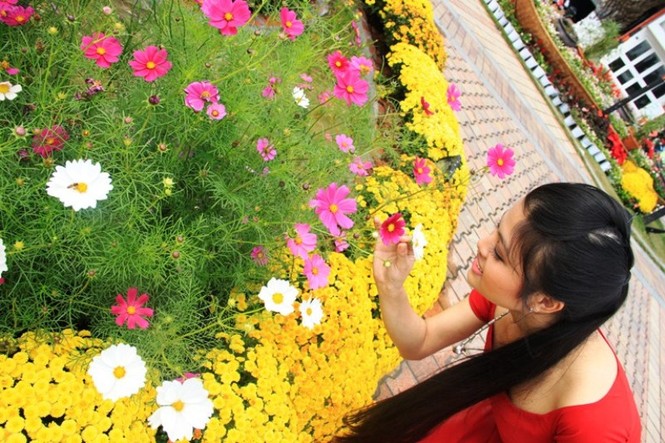 Bạn trẻ hào hứng, tạo dáng bên đường hoa Đà Nẵng - ảnh 19